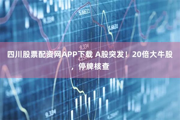 四川股票配资网APP下载 A股突发！20倍大牛股，停牌核查
