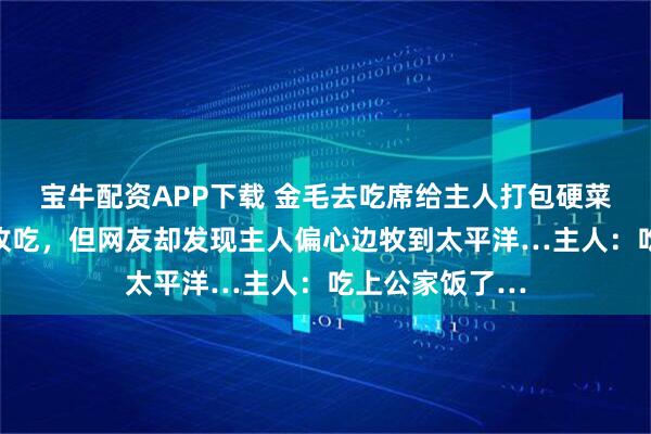 宝牛配资APP下载 金毛去吃席给主人打包硬菜,护食不让边牧吃,但网友却发现主人偏心边牧到太平洋…主人:吃上公家饭了…