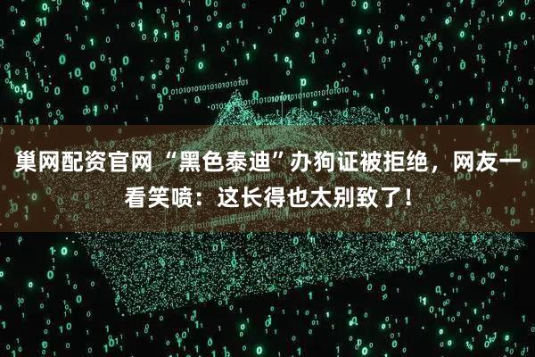 巢网配资官网 “黑色泰迪”办狗证被拒绝,网友一看笑喷:这长得也太别致了!